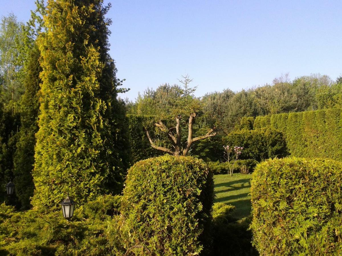 Dom Na Skarpie Villa Wierzbica  Buitenkant foto