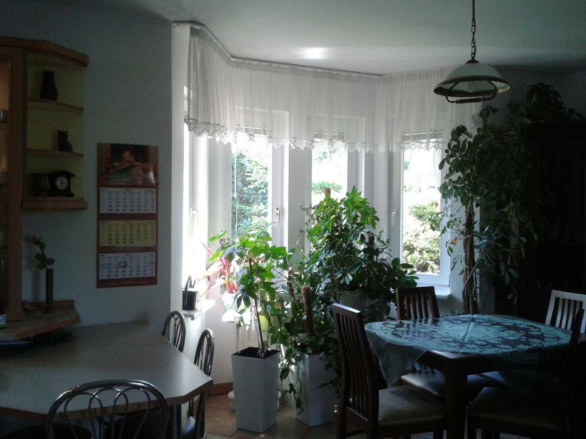 Dom Na Skarpie Villa Wierzbica  Buitenkant foto