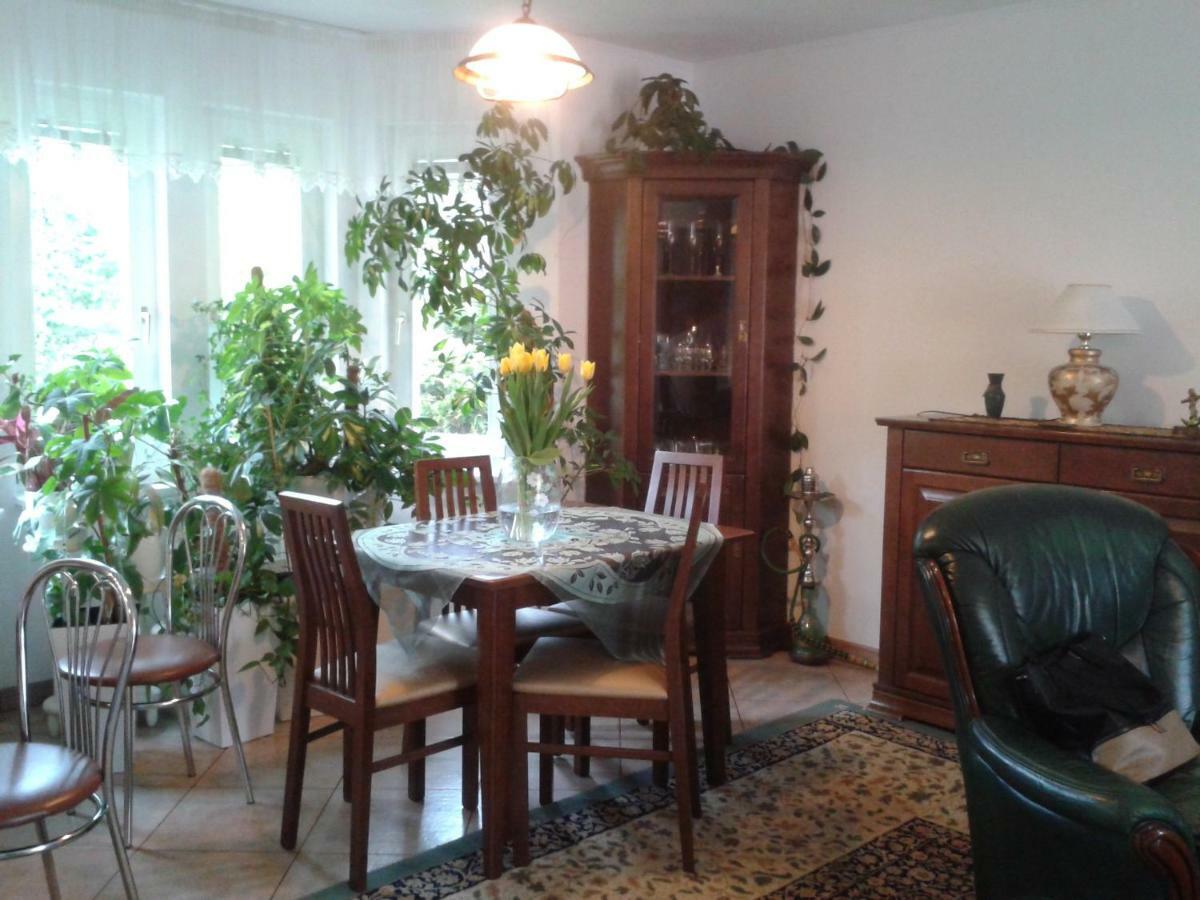 Dom Na Skarpie Villa Wierzbica  Buitenkant foto